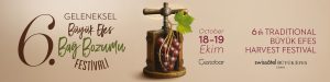 6-buyuk-efes-bag-bozumu-festivali