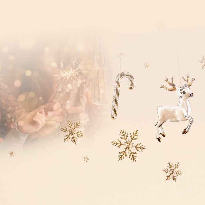 cafe-swisste-ailelerin-ve-miniklerin-yilbasi-kutlamasi