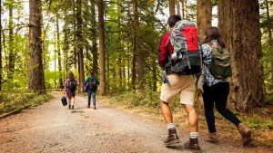 izmirde-doga-rotasi-sehrin-sakli-guzelliklerini-kesfedin