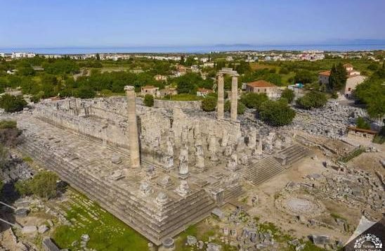 didyma