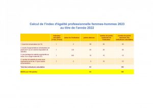 Index égalité professionnelle