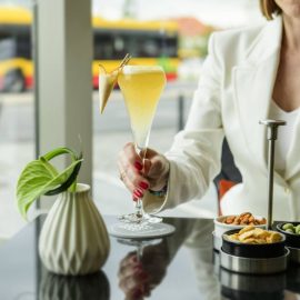  sofitel 