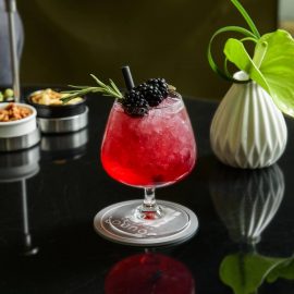  sofitel 