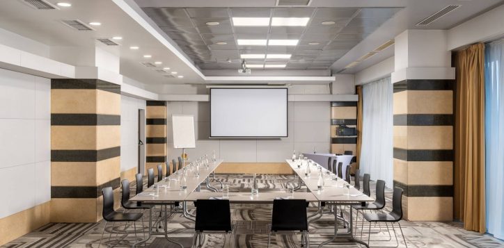 mircea-voda-conference-room1-resized