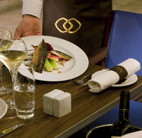 launching-at-vivre-from-1st-april