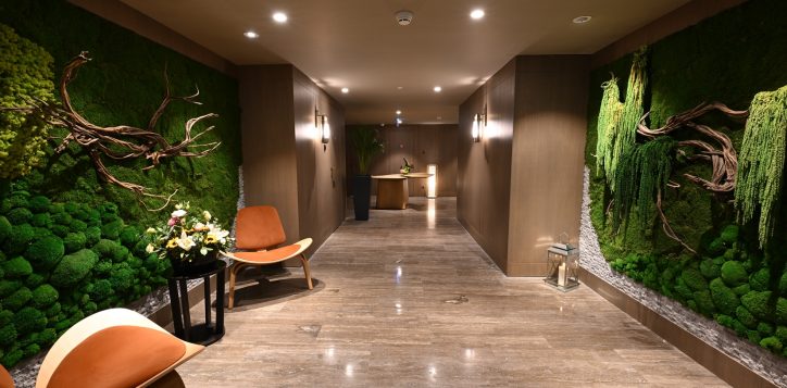 spa-entrancemasaj-odalari-2