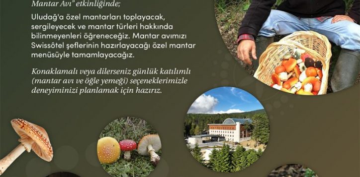 swissotel-mantar-toplama