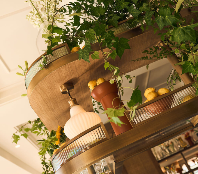 Untitled-design-2026-01-23T143020.098