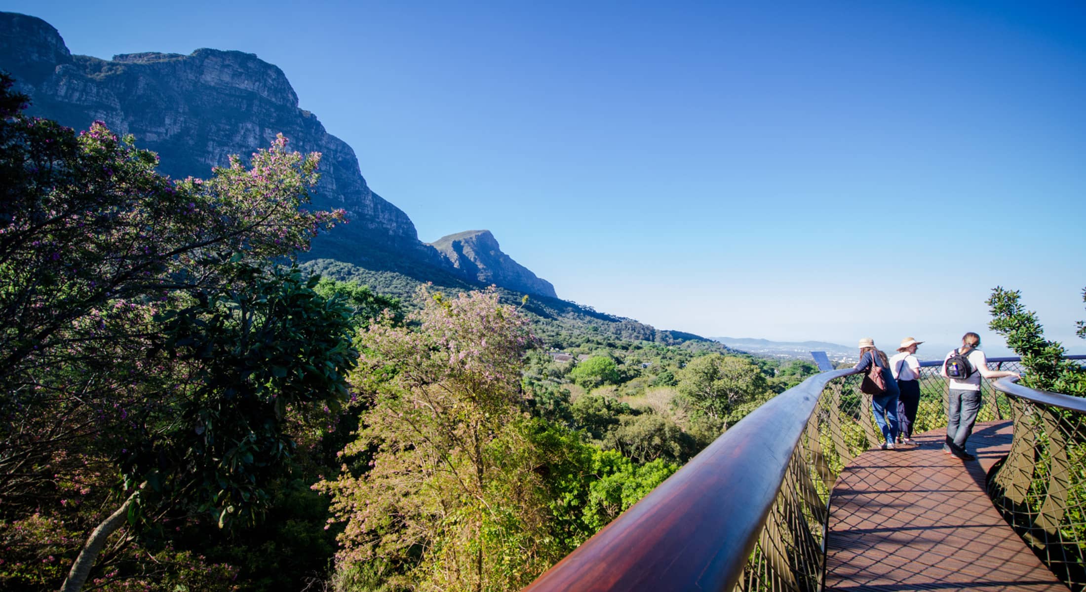 Kirstenbosch National Botanical Garden