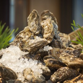 gallery Jumeirah Plantation SeafoodArt SofitelJBR 