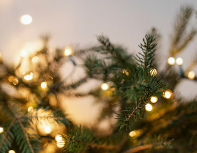kerst-bij-pullman-eindhoven-cocagne