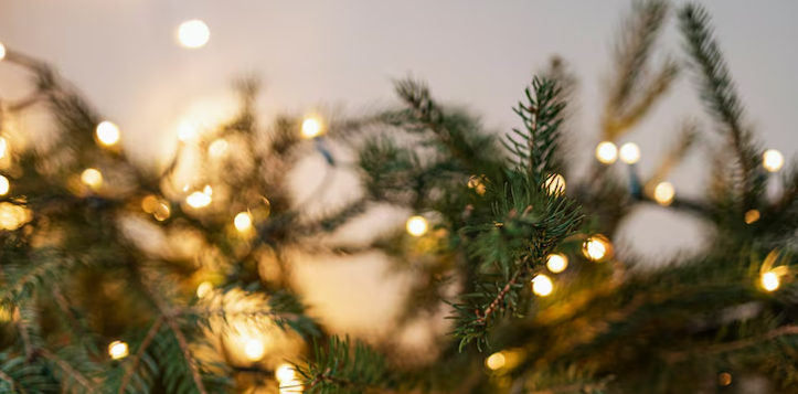 kerst-vieren-bij-vestdijk47