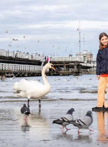 winter-holidays-by-the-sea