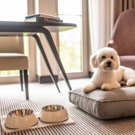 SofitelFrankfurt Pet