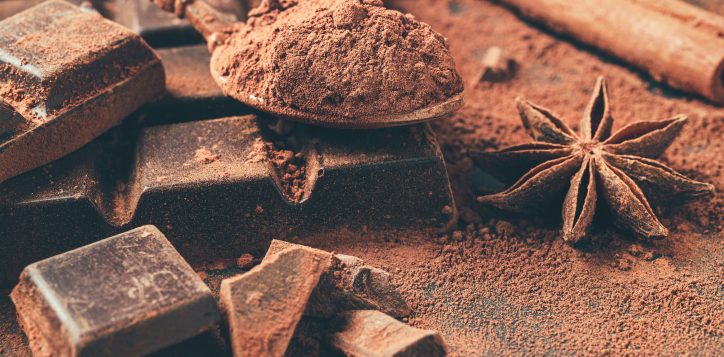 browncocoapowderinthespoonchoppedchocolatecubescinnamon-2