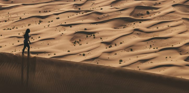 liwa-desert-copy