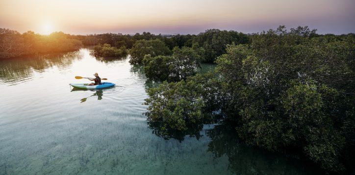 kayaking-at-jubail-mangrove-park_-copy