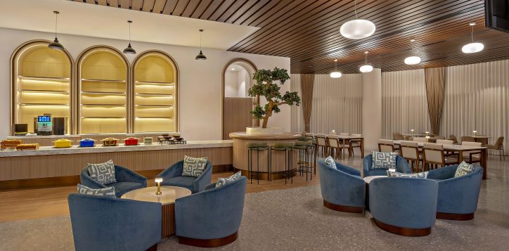 exec-lounge-lr1