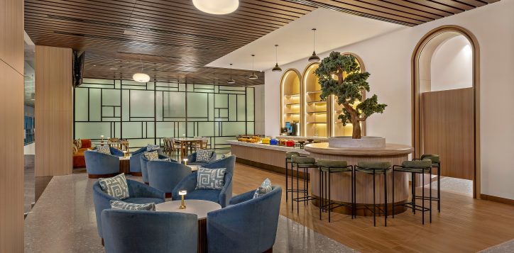 exec-lounge-lr3-2