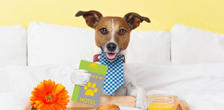 dog-hotel-policy-2